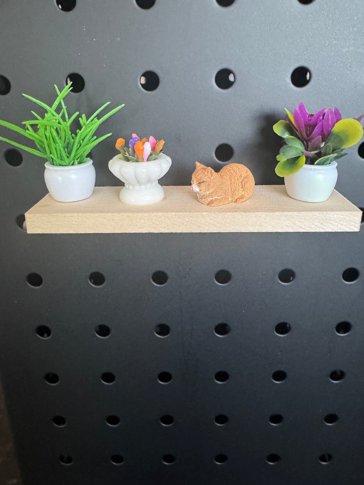 Mini Shelf Magnet